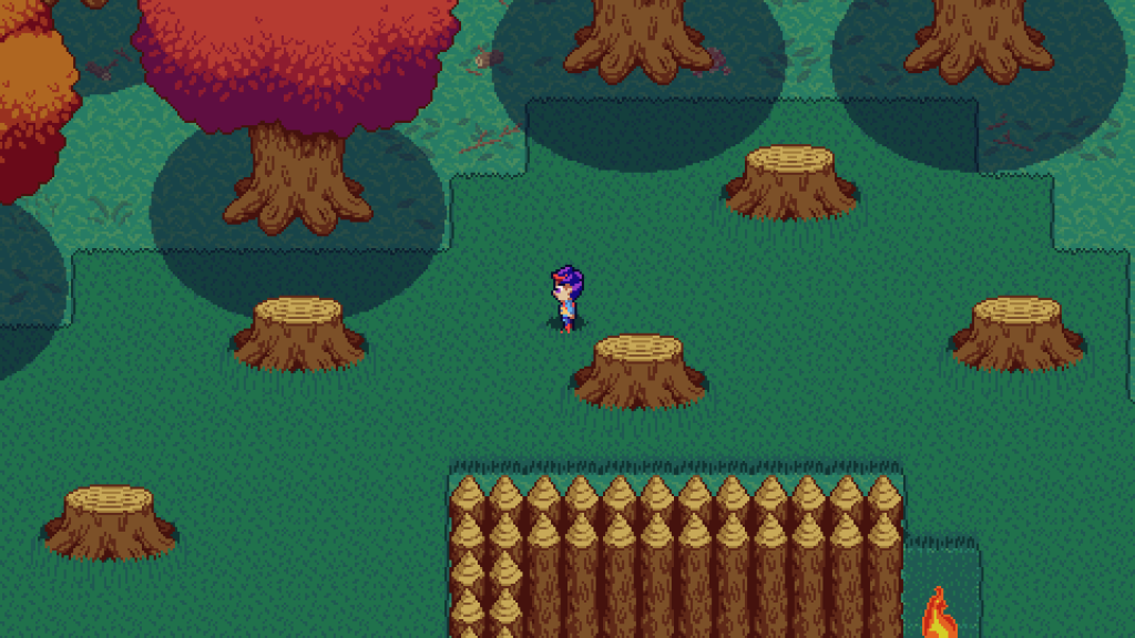 Edge of Forest Province