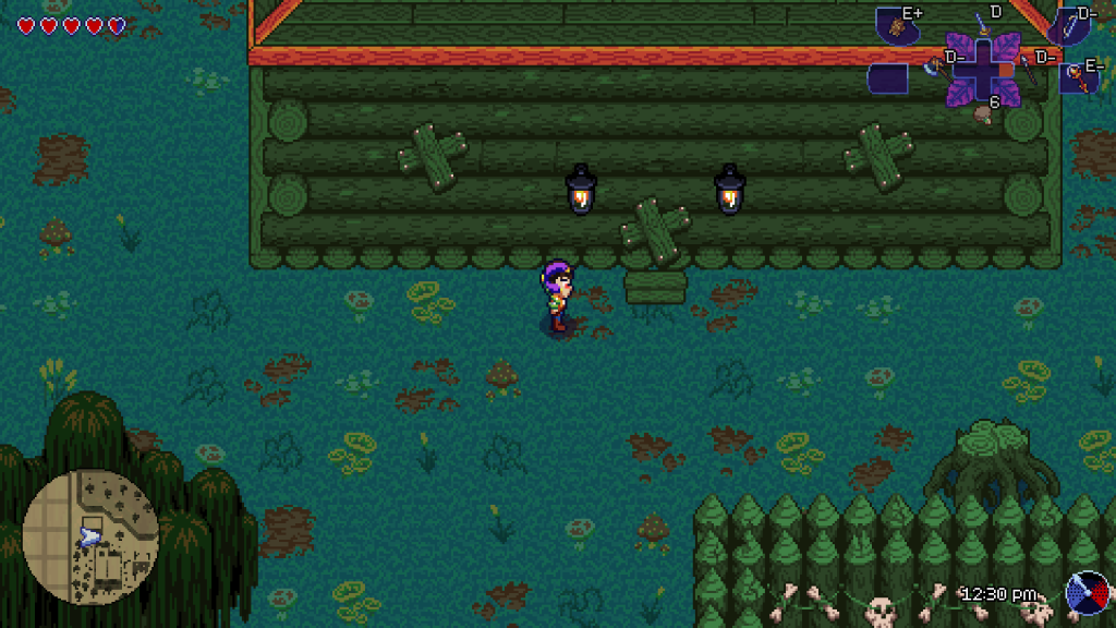 Swamp